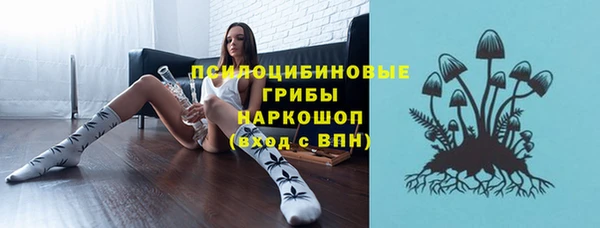 тгк Снежинск