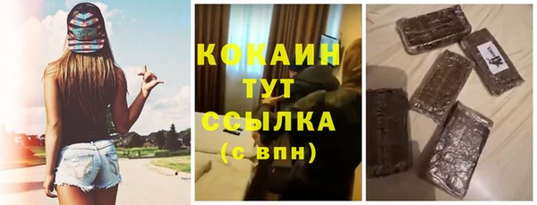 соль ск Богородск