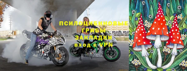 кокс Богородицк