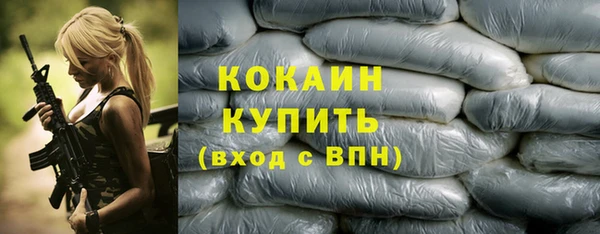 соль ск Богородск