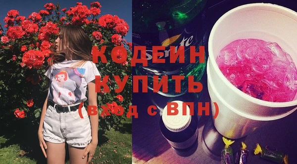 дурь Снежногорск